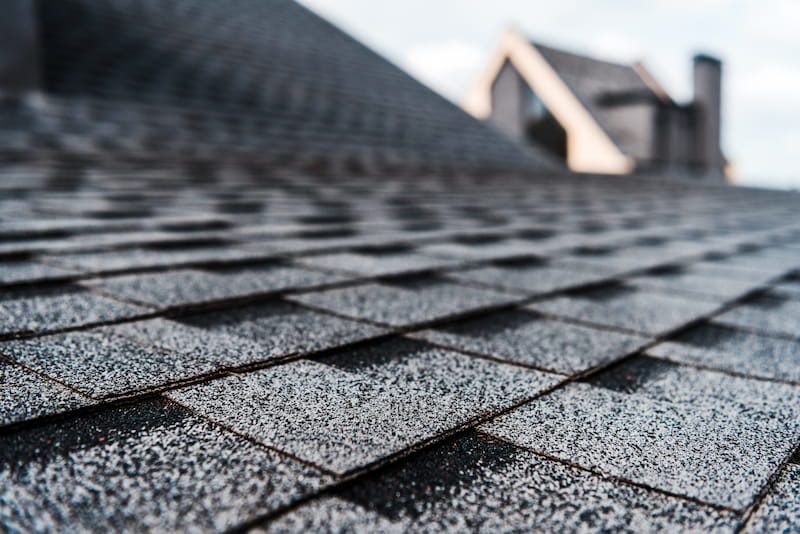 What Roswell Homeowners Need To Know About Roof Cleaning