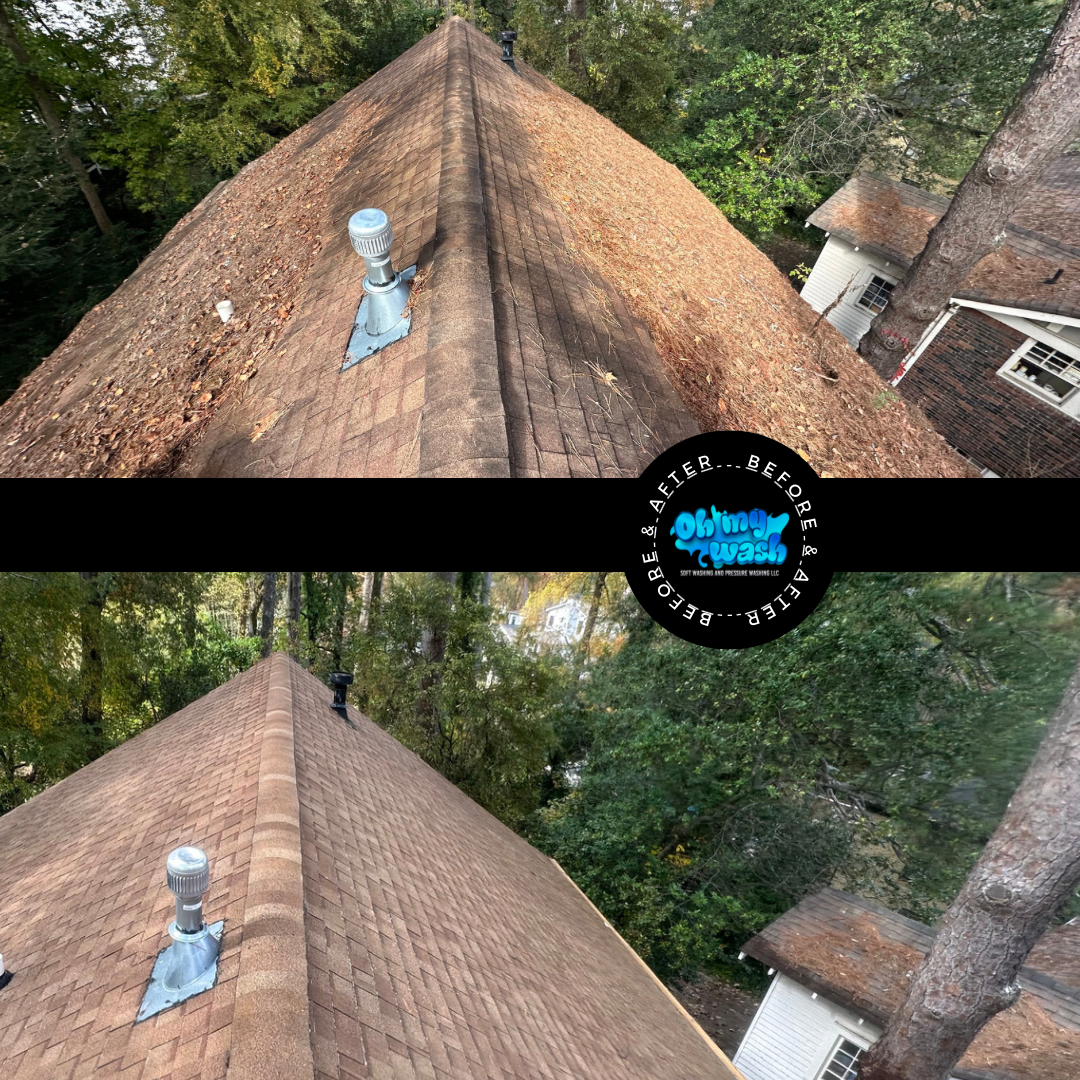 Roof Cleaning Perfection in the Heart of Atlanta, GA